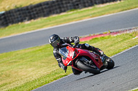 Advanced Group Red Bikes